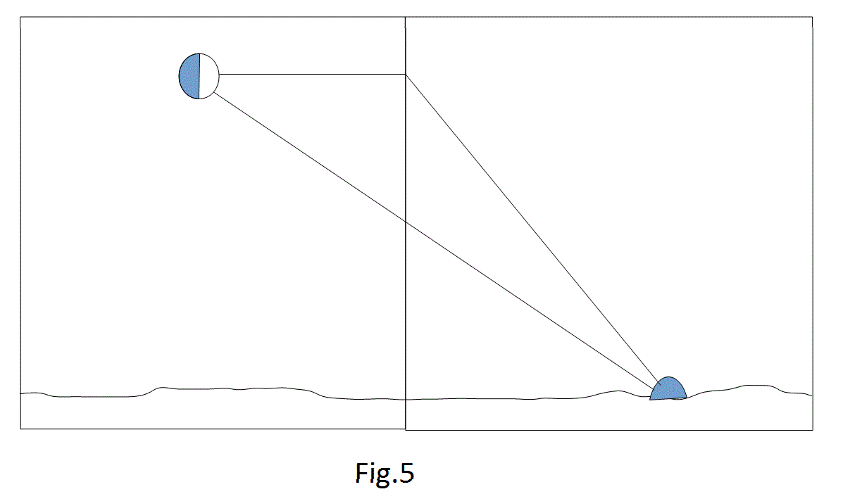 Fig5